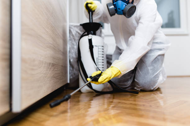 Best Pest Removal Services  in Clinton, SC