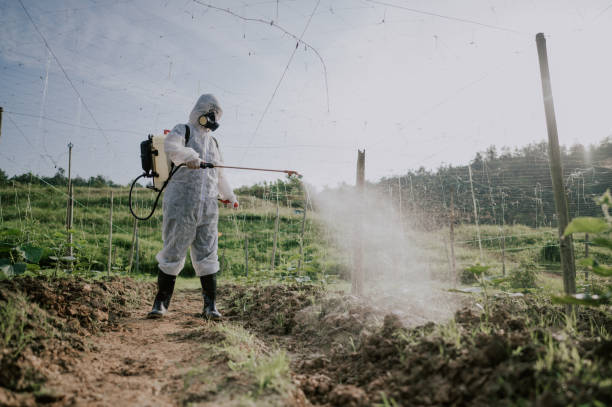 Best Commercial Pest Control Services  in Clinton, SC