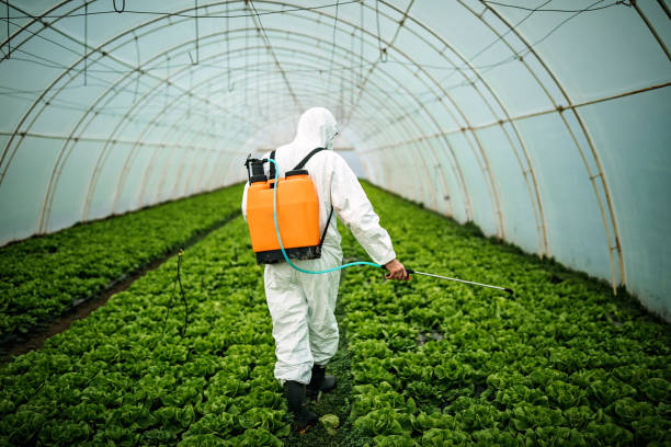 Best Residential Pest Control  in Clinton, SC