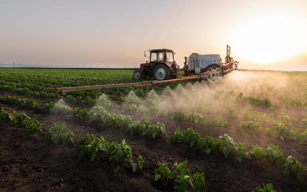 Reliable Clinton, SC Pest Control Solutions