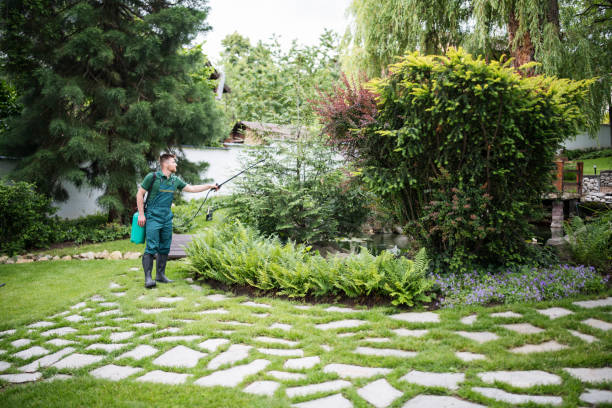 Best Wasp Removal Services  in Clinton, SC