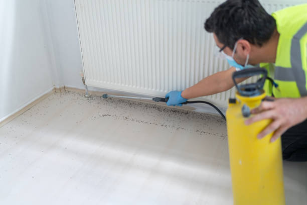 Pest Control Cost in Clinton, SC